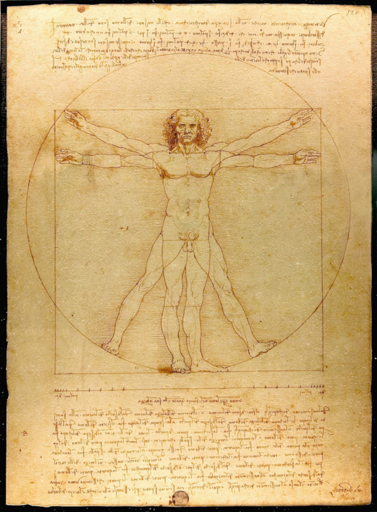 L’homme de Vitruve de Léonard de Vinci