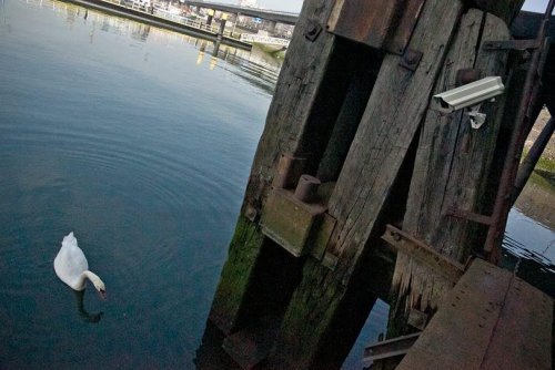 For security reasons, Rotterdam, Hollande ©&nbsp;SpY (2008)